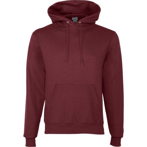 Champion women's best sale eco fleece hoodie