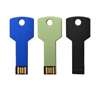 Key Shaped USB Flash Drive